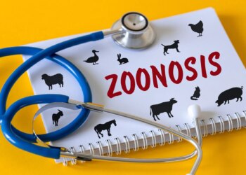 Study: A complete catalogue of human-infective RNA viruses. Image Credit: Andrzej Rostek / Shutterstock