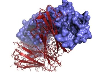 Les scientifiques découvrent des voies immunitaires inattendues pour les vaccins contre le cancer à ARNm