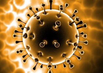 NTU Singapour et ses partenaires développent un nouveau traitement par inhalation contre les infections pulmonaires graves