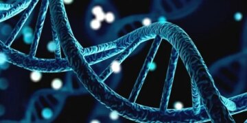 Un nouveau modèle améliore la détection du risque de syndrome de Li-Fraumeni