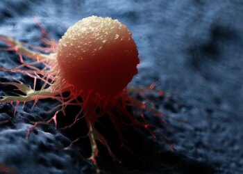 Un nouveau test sanguin détecte quatre cancers et d’autres maladies en éliminant le bruit sain de l’ADN