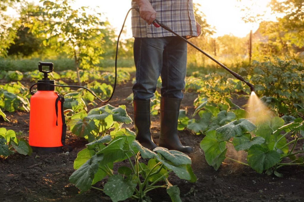 Study: Epigenetic fingerprints link early-onset colon and rectal cancer to pesticide exposure. Image Credit: Oleksii Synelnykov / Shutterstock