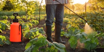 Study: Epigenetic fingerprints link early-onset colon and rectal cancer to pesticide exposure. Image Credit: Oleksii Synelnykov / Shutterstock