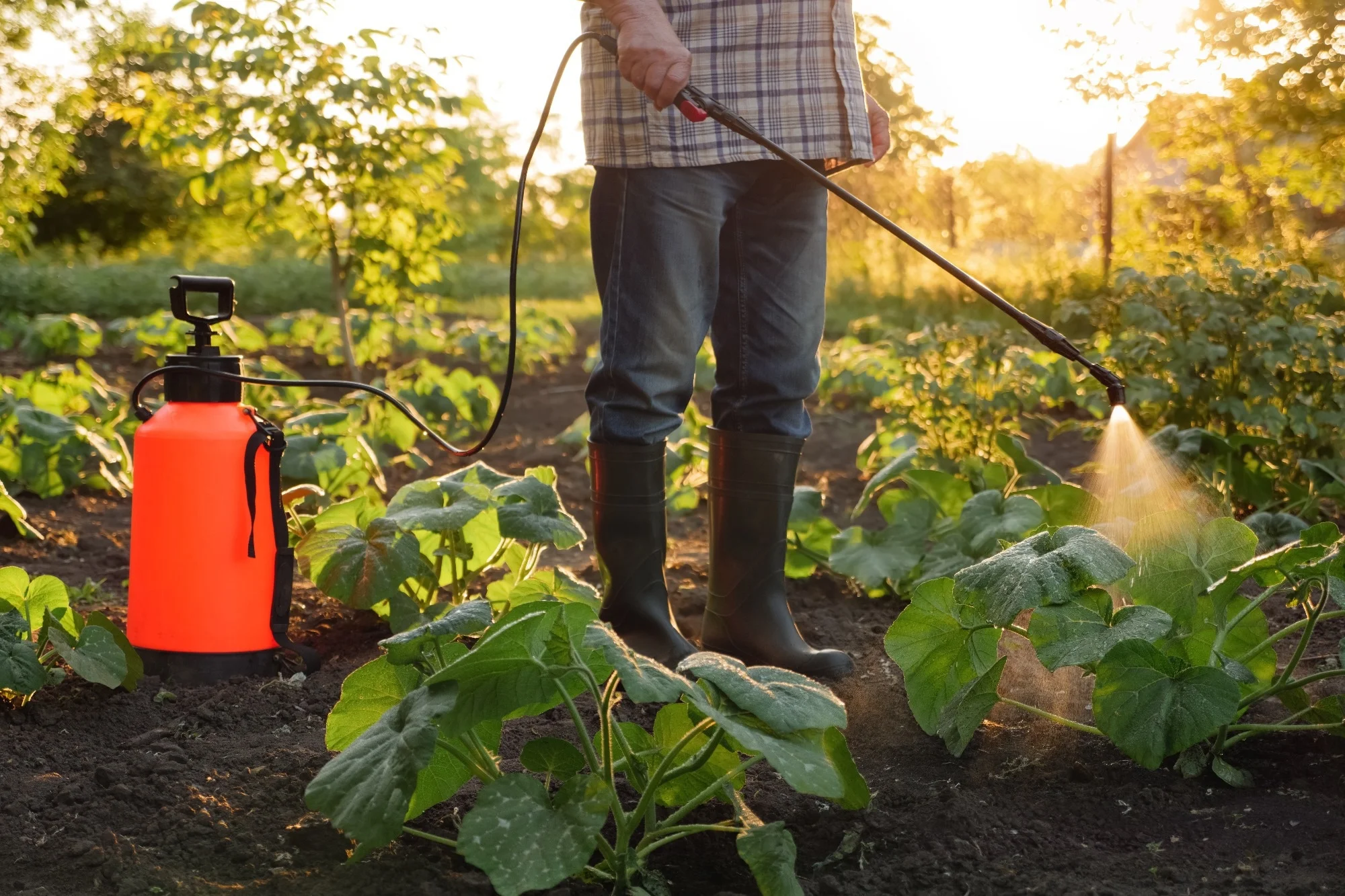 Study: Epigenetic fingerprints link early-onset colon and rectal cancer to pesticide exposure. Image Credit: Oleksii Synelnykov / Shutterstock