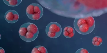 Une étude recadre le lymphome hodgkinien comme un cancer dû à un développement cellulaire défaillant