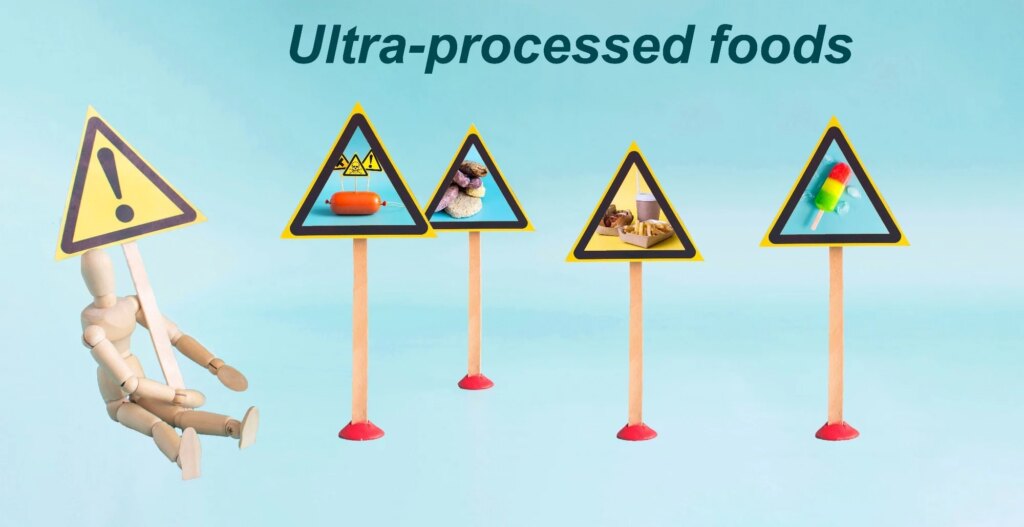 Study: Understandings of ultra-processed foods among adults with responsibility for household food activities in the United Kingdom: a qualitative study. Image Credit: nau2018 / Shutterstock