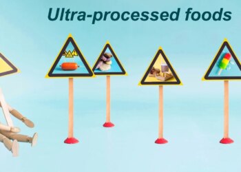 Study: Understandings of ultra-processed foods among adults with responsibility for household food activities in the United Kingdom: a qualitative study. Image Credit: nau2018 / Shutterstock