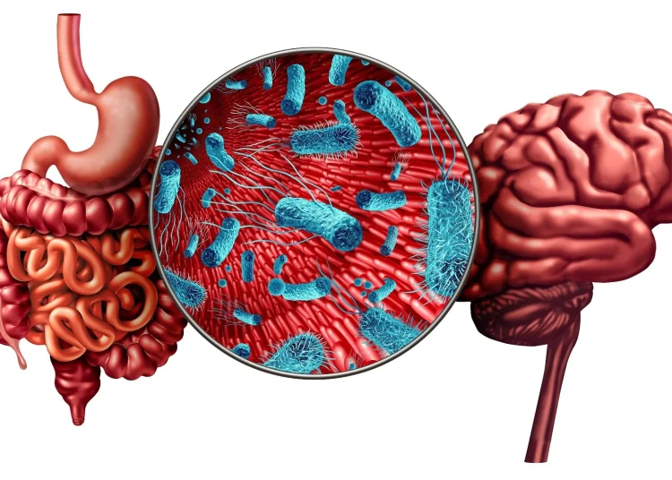 Psychobiotic Strategies for Managing Anxiety, Depression, and Schizophrenia: A Narrative Review. Image Credit: Lightspring / Shutterstock