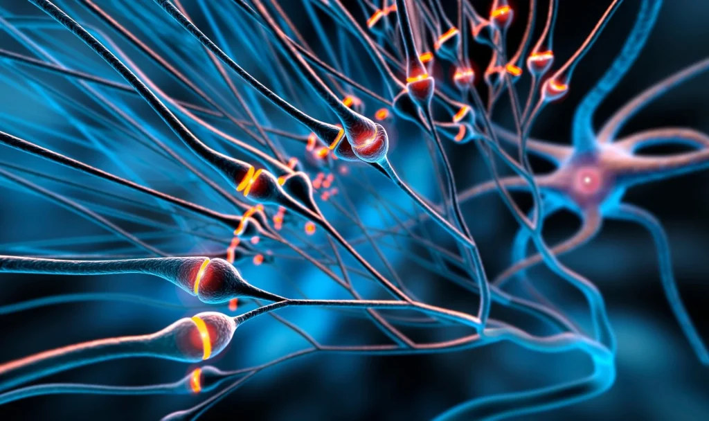 Neurotransmitters. Image Credit: peterschreiber.media/Shutterstock.com