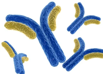FairJourney Bio propose une ingénierie d'anticorps pour une nouvelle approche thérapeutique de l'IL-12 conditionnelle aux tumeurs qui libère le potentiel de l'activation localisée des cytokines
