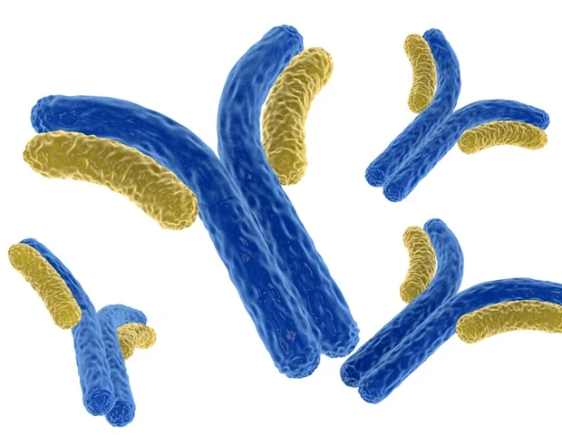 FairJourney Bio propose une ingénierie d'anticorps pour une nouvelle approche thérapeutique de l'IL-12 conditionnelle aux tumeurs qui libère le potentiel de l'activation localisée des cytokines