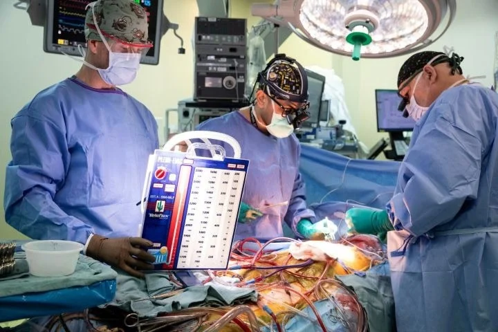 La cartographie moléculaire révèle des programmes cellulaires cachés dans le rejet d'une transplantation cardiaque