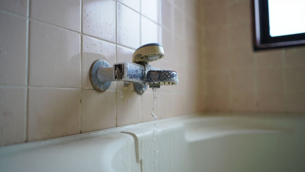 Le pommeau de douche non détartré diffuse des bactéries respiratoires