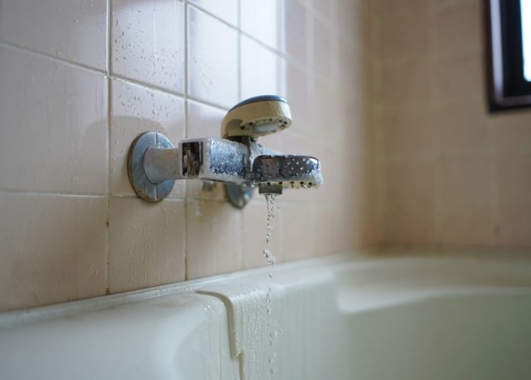 Le pommeau de douche non détartré diffuse des bactéries respiratoires