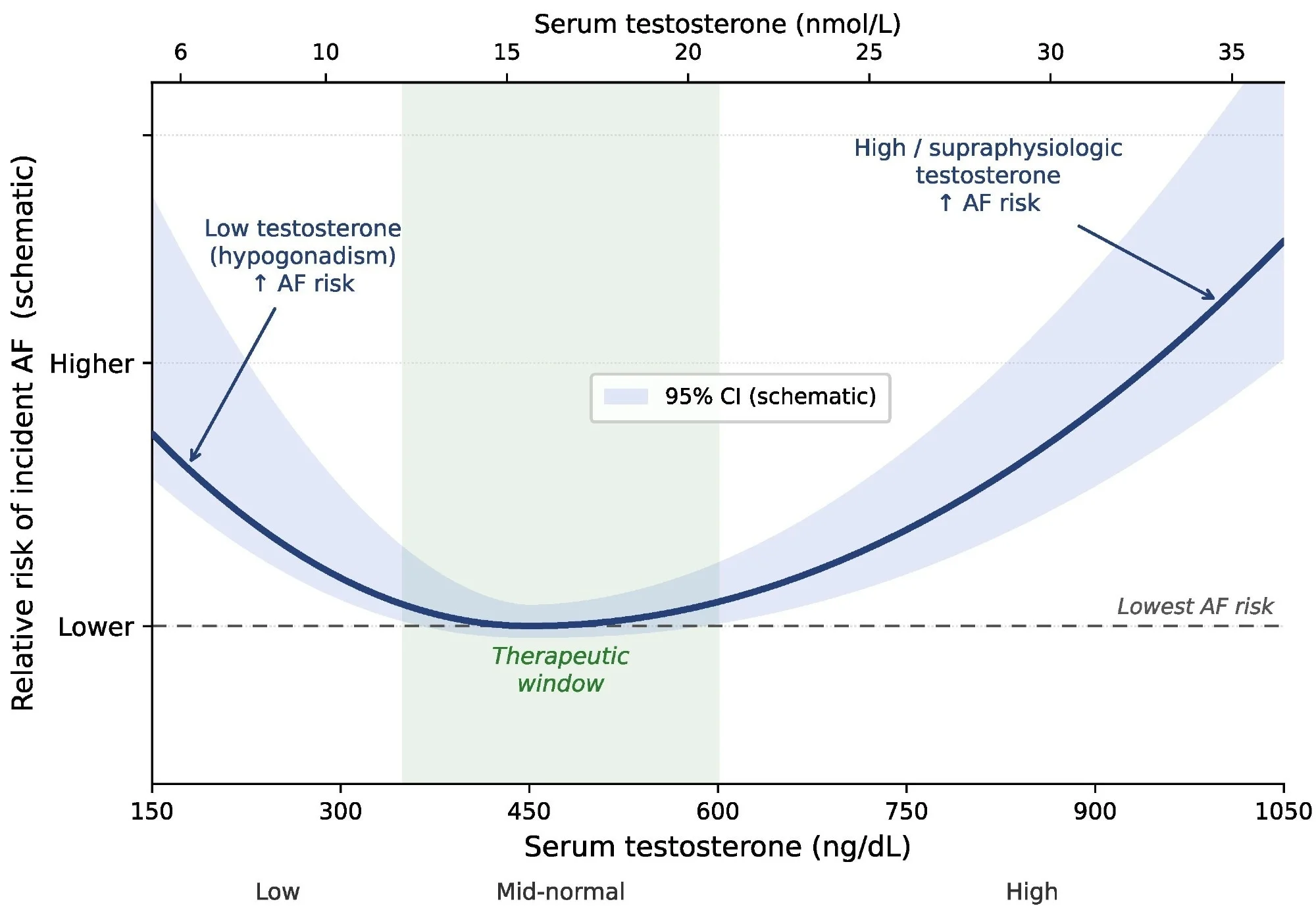 Synthèse schématique de la relation en forme de U entre la testostérone sérique et le risque de FA incidente, synthétisée à partir des analyses splines cubiques restreintes de Xu et al (UK Biobank) (5) et Tran et al (ASPREE) (6). La courbe est conceptuelle et ne représente pas une estimation quantitative groupée ; le nadir du risque se situe dans la fourchette physiologique moyenne (fenêtre thérapeutique grisée). Dans Tran et al, l'association à risque élevé avec un taux de testostérone élevé était statistiquement significative, alors que l'association avec un taux de testostérone faible n'atteignait pas la signification. Conversion d'axe : 1 nmol/L = 28,82 ng/dL.