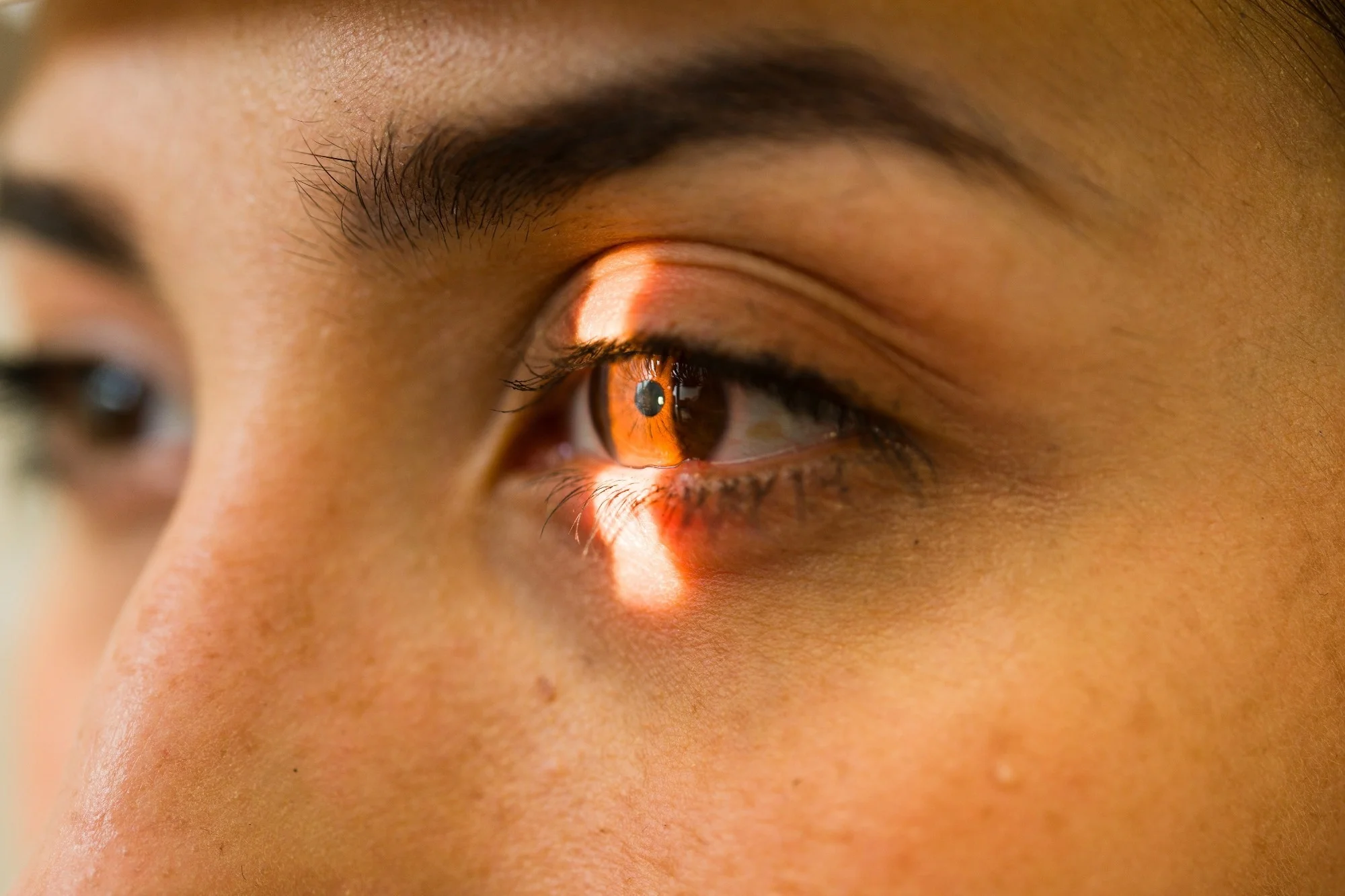 La distance parcourue par vos yeux peut changer ce que vous voyez