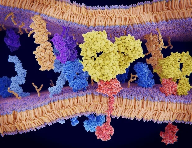 L'association sacituzumab-govitecan ne parvient pas à atteindre le critère de survie sans progression dans le CPNPC métastatique