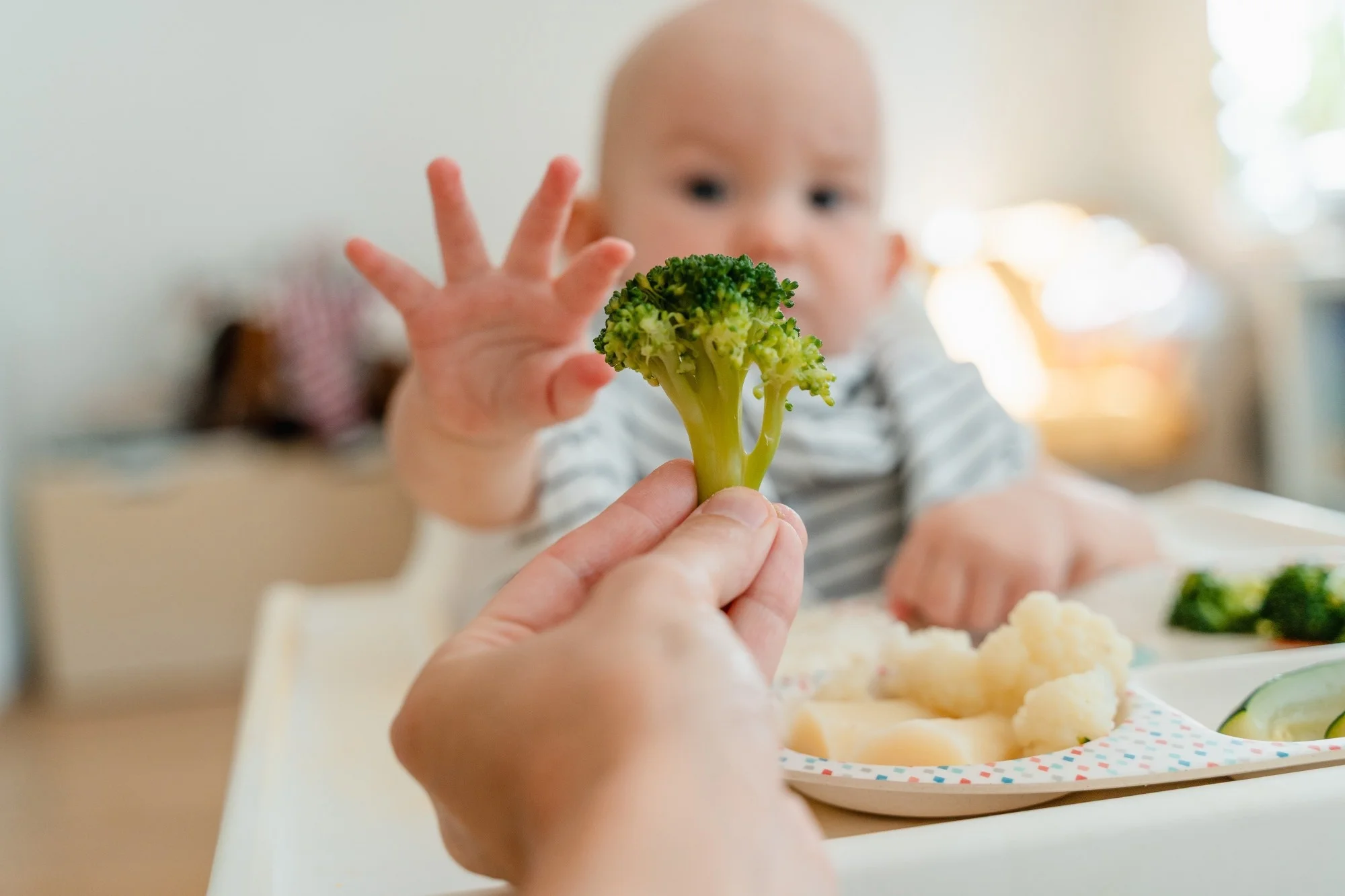 Les premiers aliments entraînent un changement fonctionnel précoce dans le microbiome intestinal du nourrisson