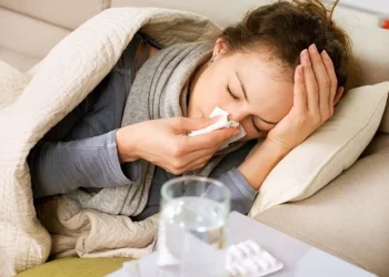 Lumière UVC lointaine testée pour lutter contre la grippe aviaire dans les fermes