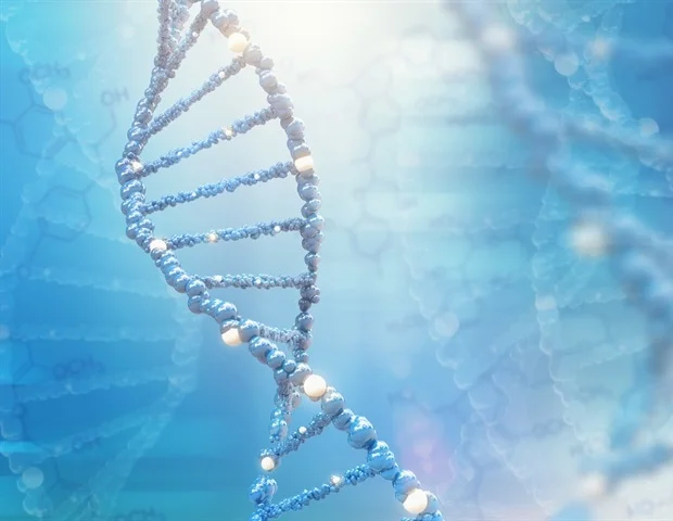 Un dérivé de la vitamine A prévient l’épuisement des cellules immunitaires dans les tumeurs cérébrales