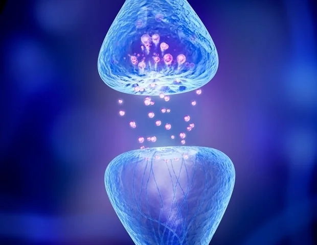 Une nouvelle plateforme informatique modélise les changements des cellules cérébrales dans l’autisme