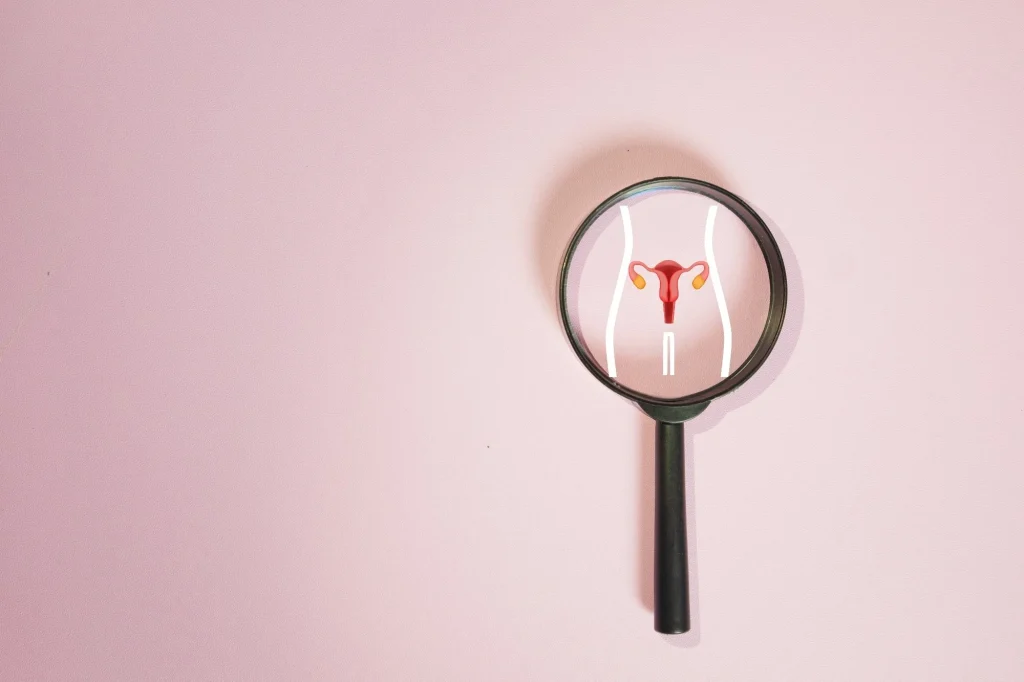 Magnifying glass focusing on uterus and ovaries icon