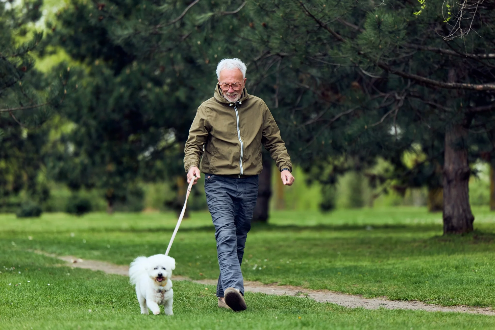Study: Physical activity and blood pressure as predictors of cognitive function in the all of us research program. Image Credit: Branislav Nenin / Shutterstock