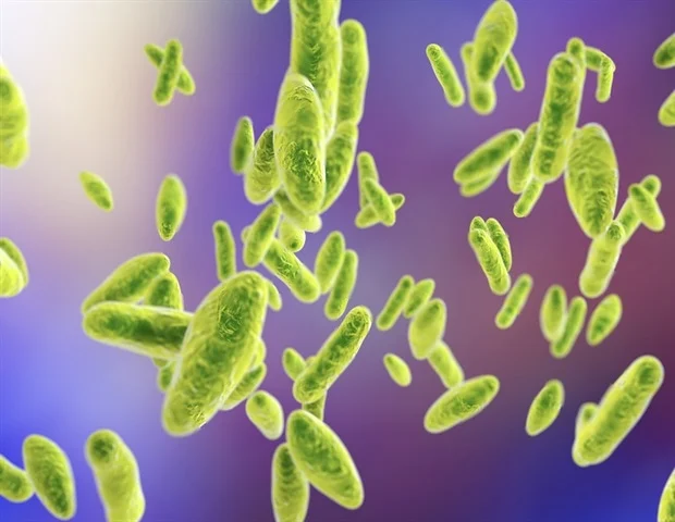 Modèles météorologiques à grande échelle liés aux épidémies du virus Ebola
